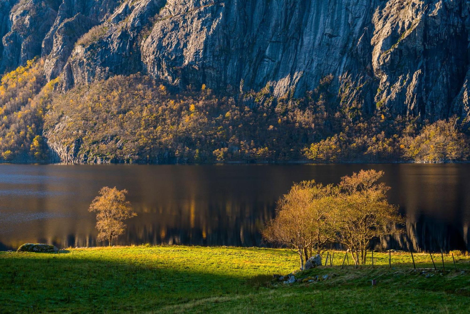 Hytte Ved Preikestolen Forsand Exterior photo